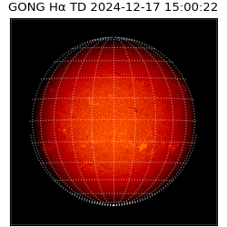 gong - 2024-12-17T15:00:22