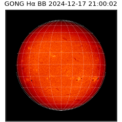 gong - 2024-12-17T21:00:02