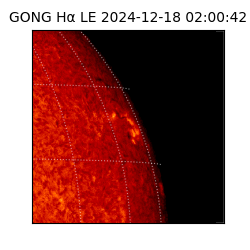 gong - 2024-12-18T02:00:42