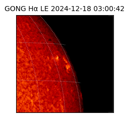 gong - 2024-12-18T03:00:42