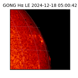 gong - 2024-12-18T05:00:42