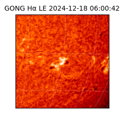 gong - 2024-12-18T06:00:42