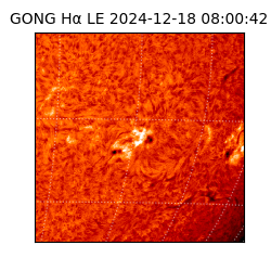 gong - 2024-12-18T08:00:42