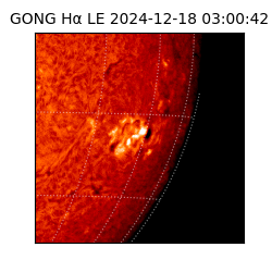 gong - 2024-12-18T03:00:42