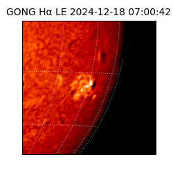 gong - 2024-12-18T07:00:42