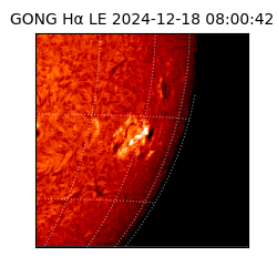 gong - 2024-12-18T08:00:42