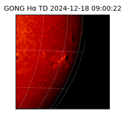 gong - 2024-12-18T09:00:22