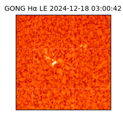 gong - 2024-12-18T03:00:42