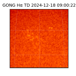 gong - 2024-12-18T09:00:22