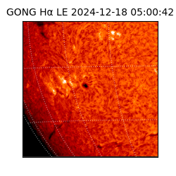 gong - 2024-12-18T05:00:42