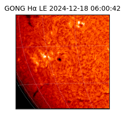 gong - 2024-12-18T06:00:42