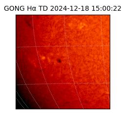 gong - 2024-12-18T15:00:22