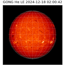 gong - 2024-12-18T02:00:42