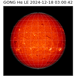 gong - 2024-12-18T03:00:42