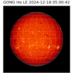 gong - 2024-12-18T05:00:42