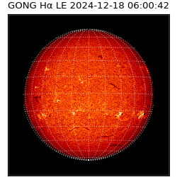 gong - 2024-12-18T06:00:42