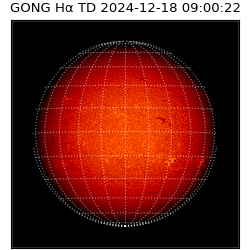 gong - 2024-12-18T09:00:22