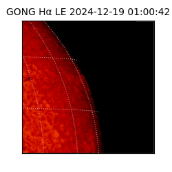 gong - 2024-12-19T01:00:42