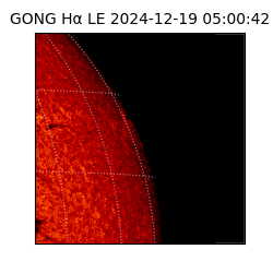 gong - 2024-12-19T05:00:42