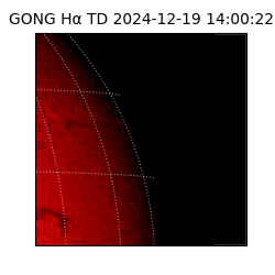 gong - 2024-12-19T14:00:22