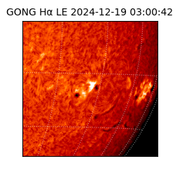 gong - 2024-12-19T03:00:42