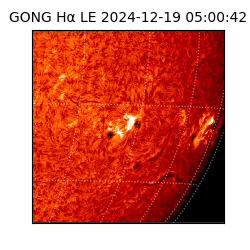 gong - 2024-12-19T05:00:42