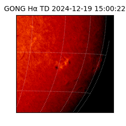 gong - 2024-12-19T15:00:22