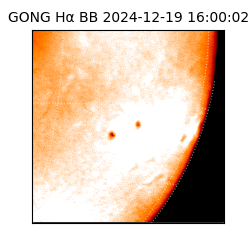 gong - 2024-12-19T16:00:02