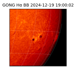 gong - 2024-12-19T19:00:02