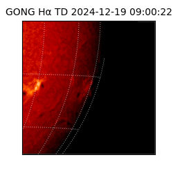 gong - 2024-12-19T09:00:22