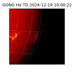 gong - 2024-12-19T10:00:22