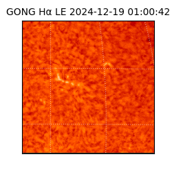 gong - 2024-12-19T01:00:42