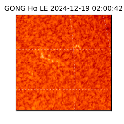 gong - 2024-12-19T02:00:42