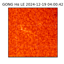 gong - 2024-12-19T04:00:42