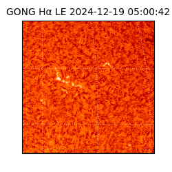 gong - 2024-12-19T05:00:42