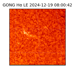 gong - 2024-12-19T08:00:42