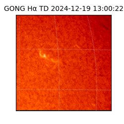 gong - 2024-12-19T13:00:22