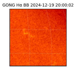 gong - 2024-12-19T20:00:02