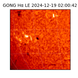 gong - 2024-12-19T02:00:42