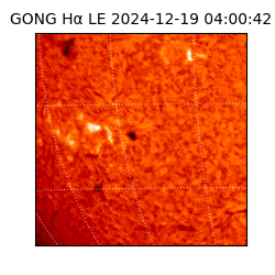 gong - 2024-12-19T04:00:42