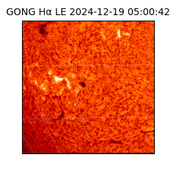 gong - 2024-12-19T05:00:42