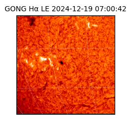 gong - 2024-12-19T07:00:42