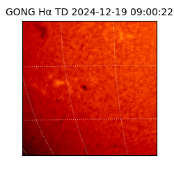 gong - 2024-12-19T09:00:22