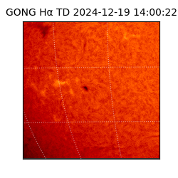 gong - 2024-12-19T14:00:22