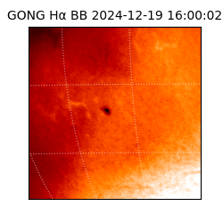 gong - 2024-12-19T16:00:02