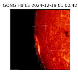 gong - 2024-12-19T01:00:42