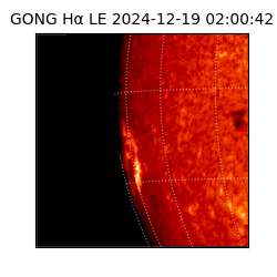 gong - 2024-12-19T02:00:42