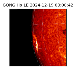 gong - 2024-12-19T03:00:42