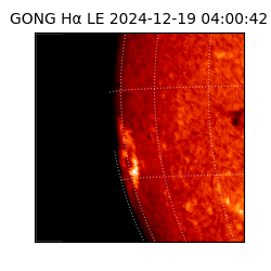 gong - 2024-12-19T04:00:42