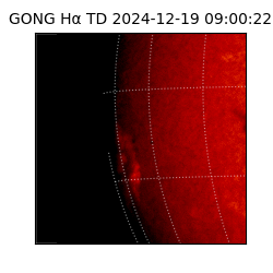 gong - 2024-12-19T09:00:22